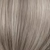 Grau-Aschblond/Silbergrau