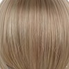 Hell-Aschblond & Mittel-Aschblond Mix